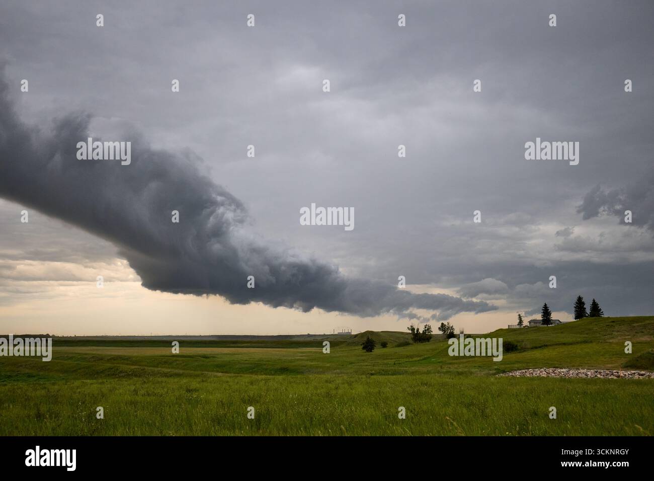 Dramatic storm cloud over green prairie fields in Saskatchewan, Canada Stock Photo