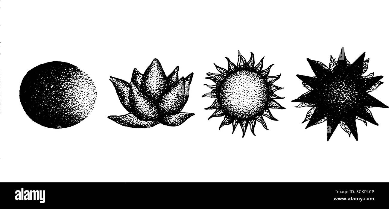 Hyper detailed ink stippling set featuring geometric and nature ...