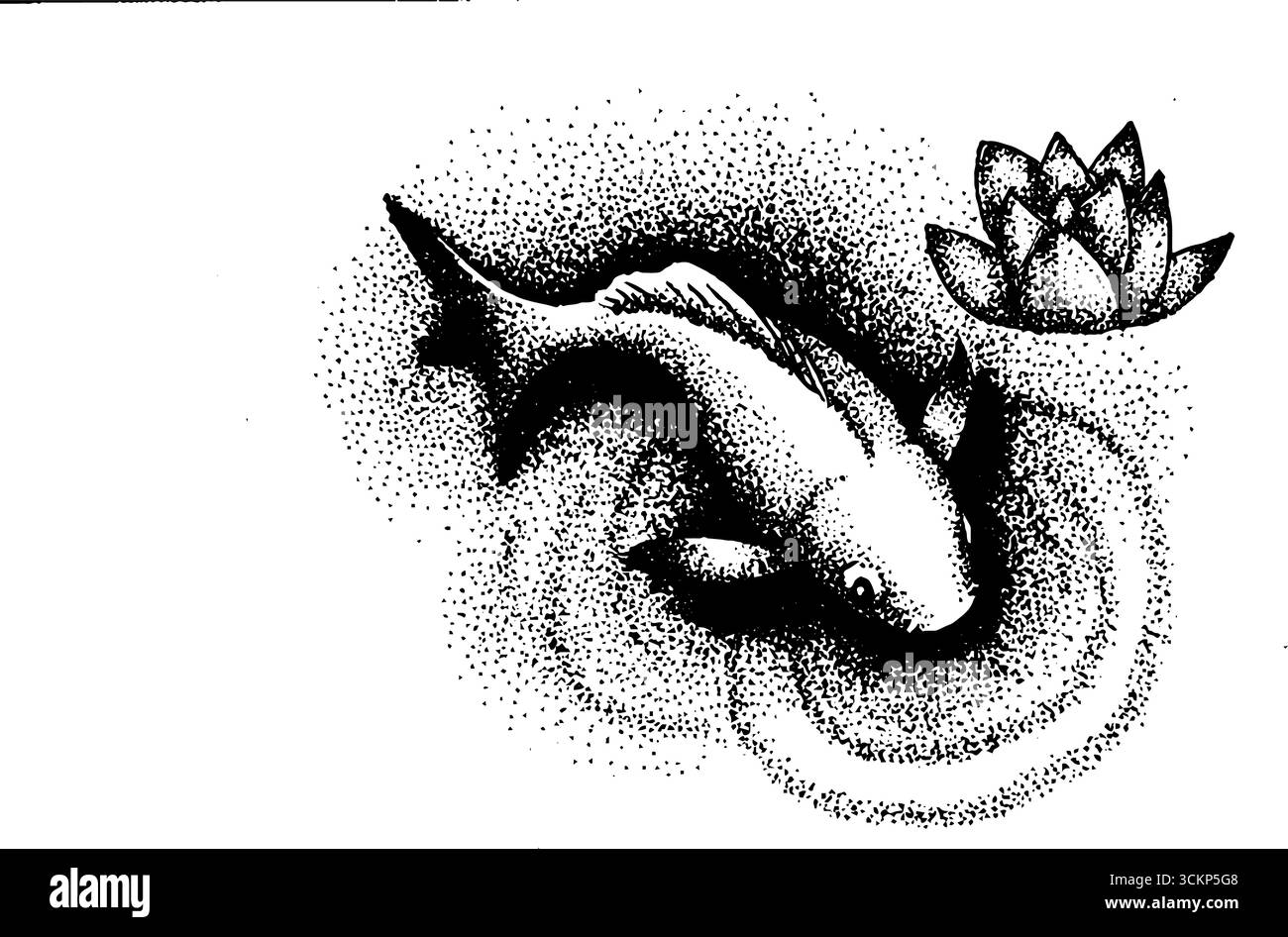 Intricate stippling ink art of koi fish with lotus flower design Stock ...