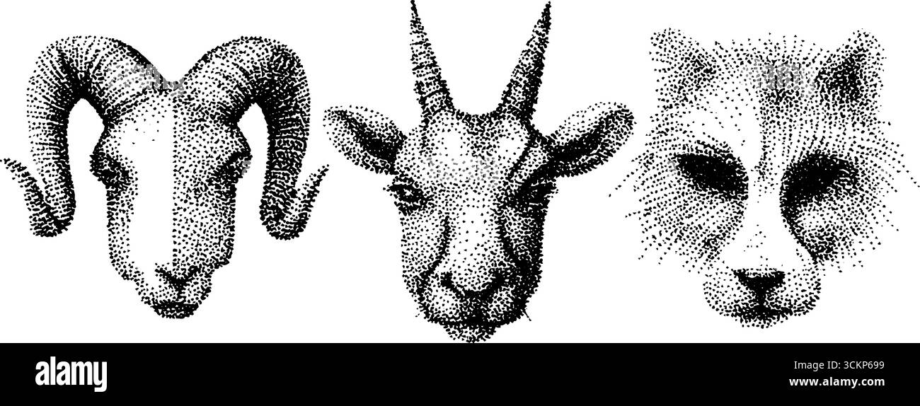 Hyper detailed stippling ink illustrations of ram, goat, and cheetah ...