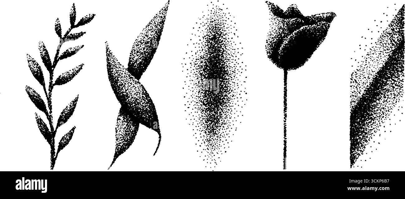 Hyper detailed stippling ink illustrations of botanical elements Stock ...