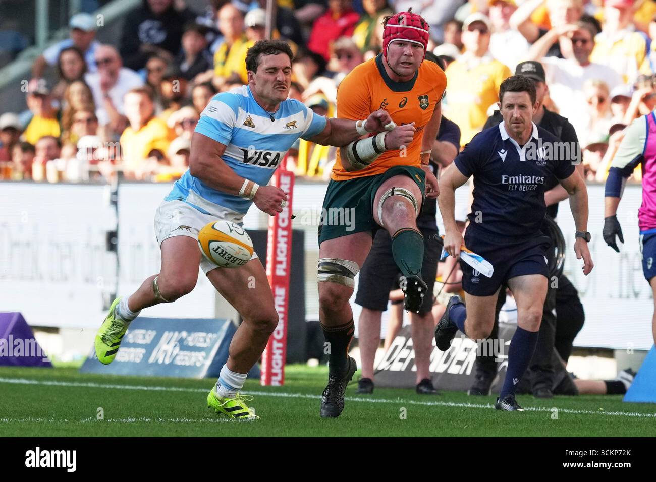 Thomas Wilson Rugby Australia's Harry Wilson kicks the ball during the Rugby Championship ...