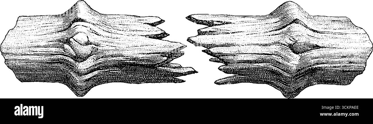 Fractured wooden beam with splintered ends dotwork design for art and ...