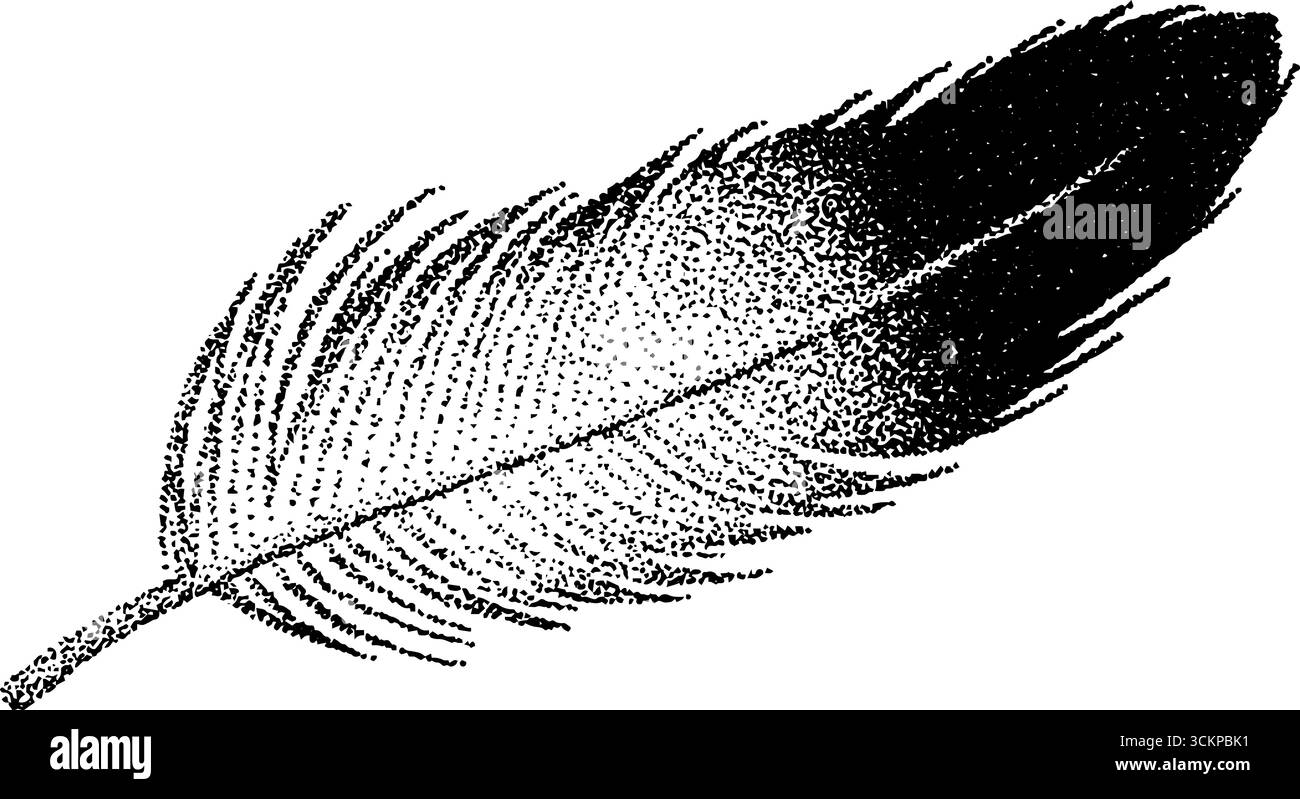 Subtle feather design hi-res stock photography and images - Alamy
