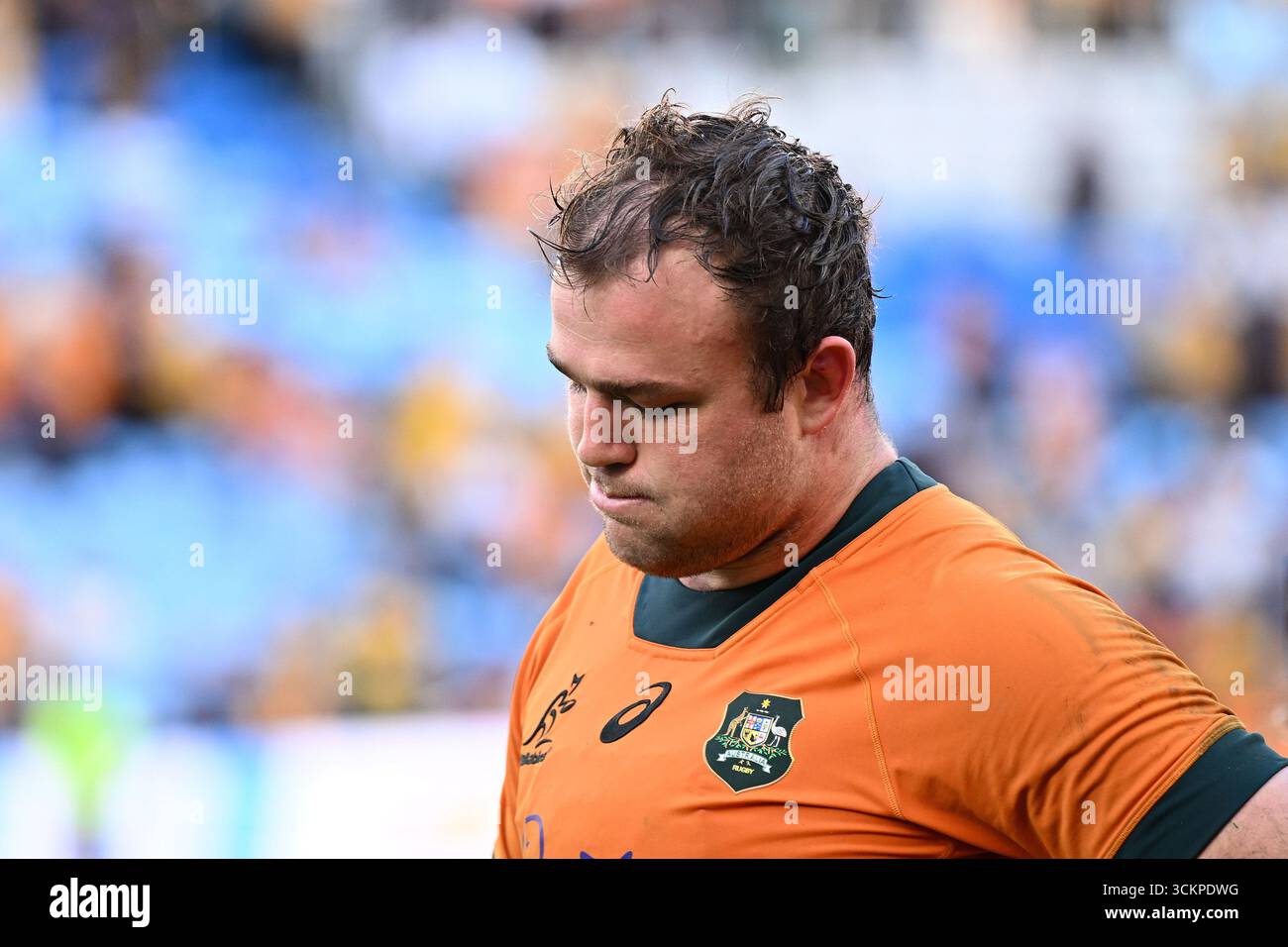 Harry Wilson Qld Rugby Harry Wilson of Australia reacts following his team’s loss in the Rugby ...