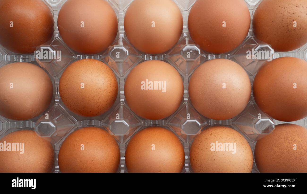 Organic chicken eggs in plastic packaging Stock Photo