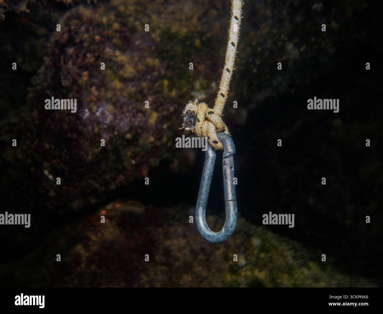 Carabine hook underwater Stock Photo