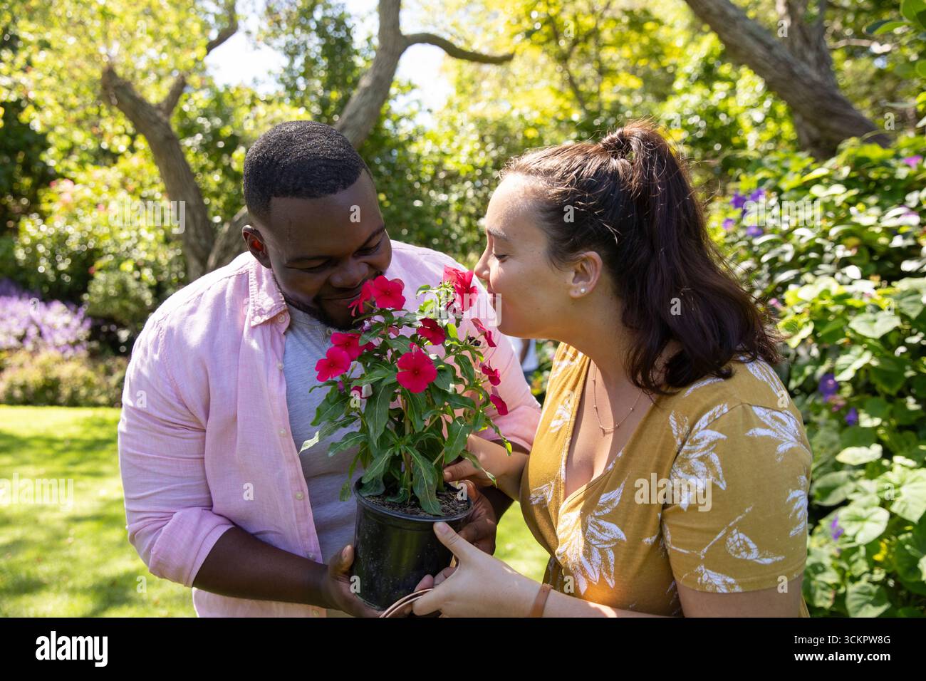 Diverse couple smelling vibrant pink blossoms in black plastic pot in garden Stock Photo