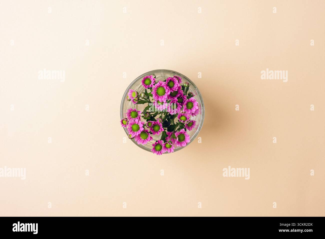 Small purple flowers in glass on beige background. Top view. Stock Photo