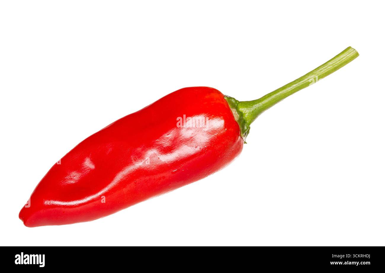 Fresh serrano pepper isolated on white background Stock Photo