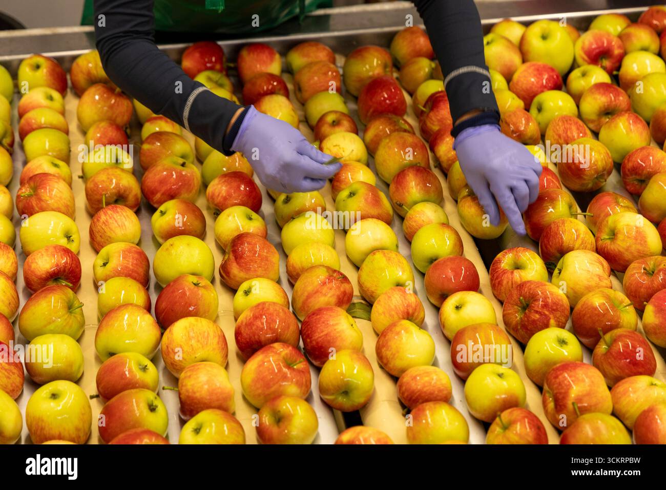 Andrulis Re-Emerges: Apple AI Veteran Joins New Venture, Signaling a Shift in European AI Ambitions