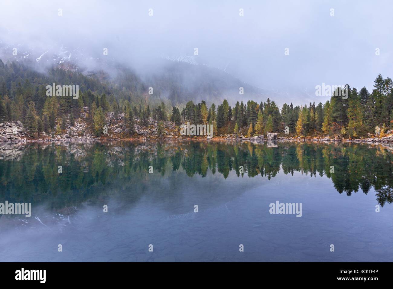 Lago di Saoseo in autumn, an alpine lake with crystal-clear water, colorful fall foliage and morning mist. Stock Photo