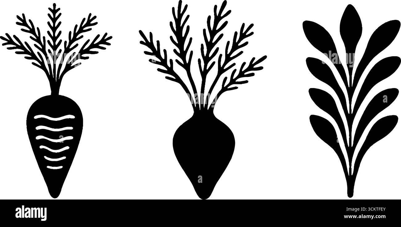 Leafy carrot Black and White Stock Photos & Images - Alamy
