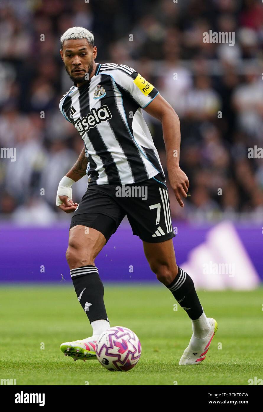 Joelinton of newcastle united hi-res stock photography and images