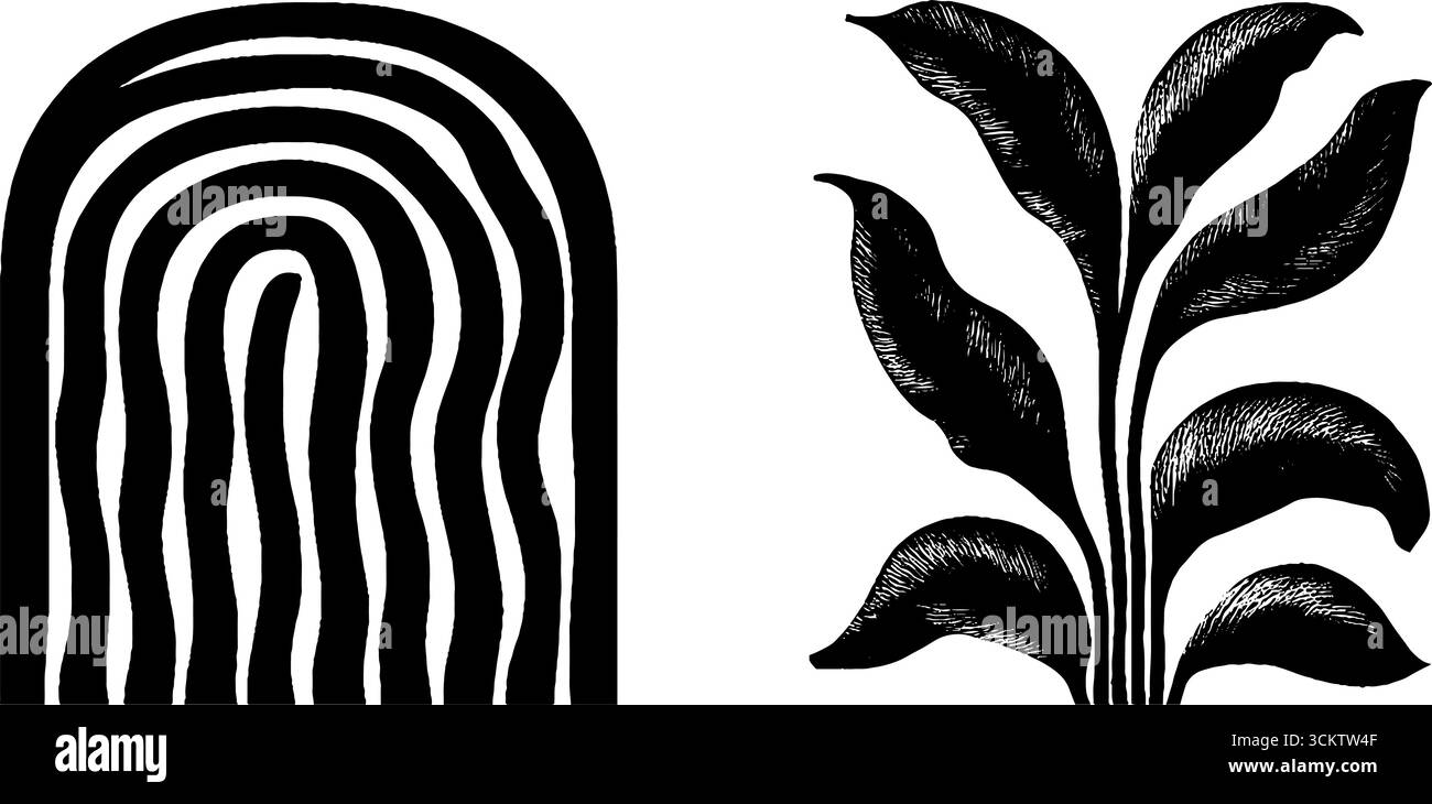 Minimalist black and white banana palm leaves with abstract shadow ...