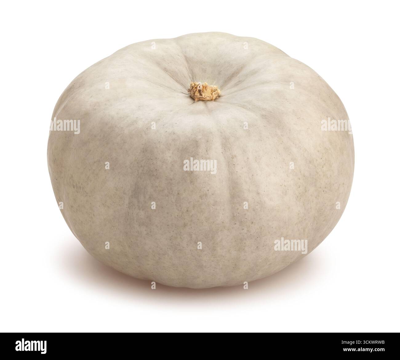 grey pumpkin path isolated on white Stock Photo