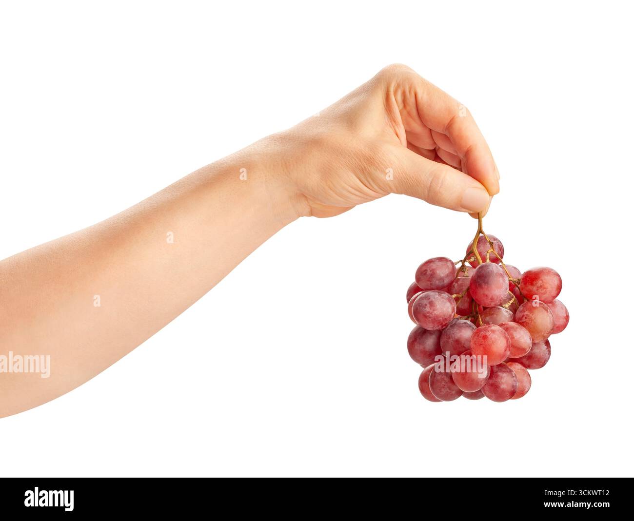 red grape in hand path isolated on white Stock Photo