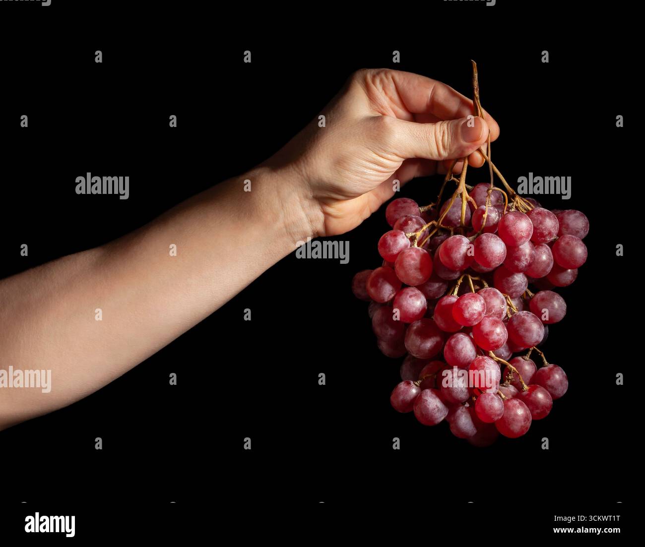 red grape in hand on black background Stock Photo