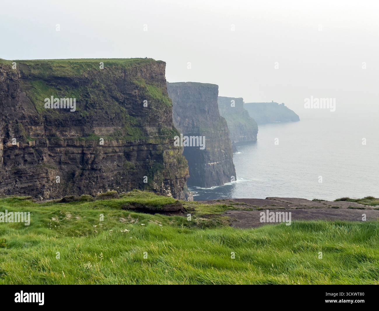 Edge of the cliffs to the Atlantic Ocean, Cliffs of Moher , Ireland - Smartphone Captured Stock Image