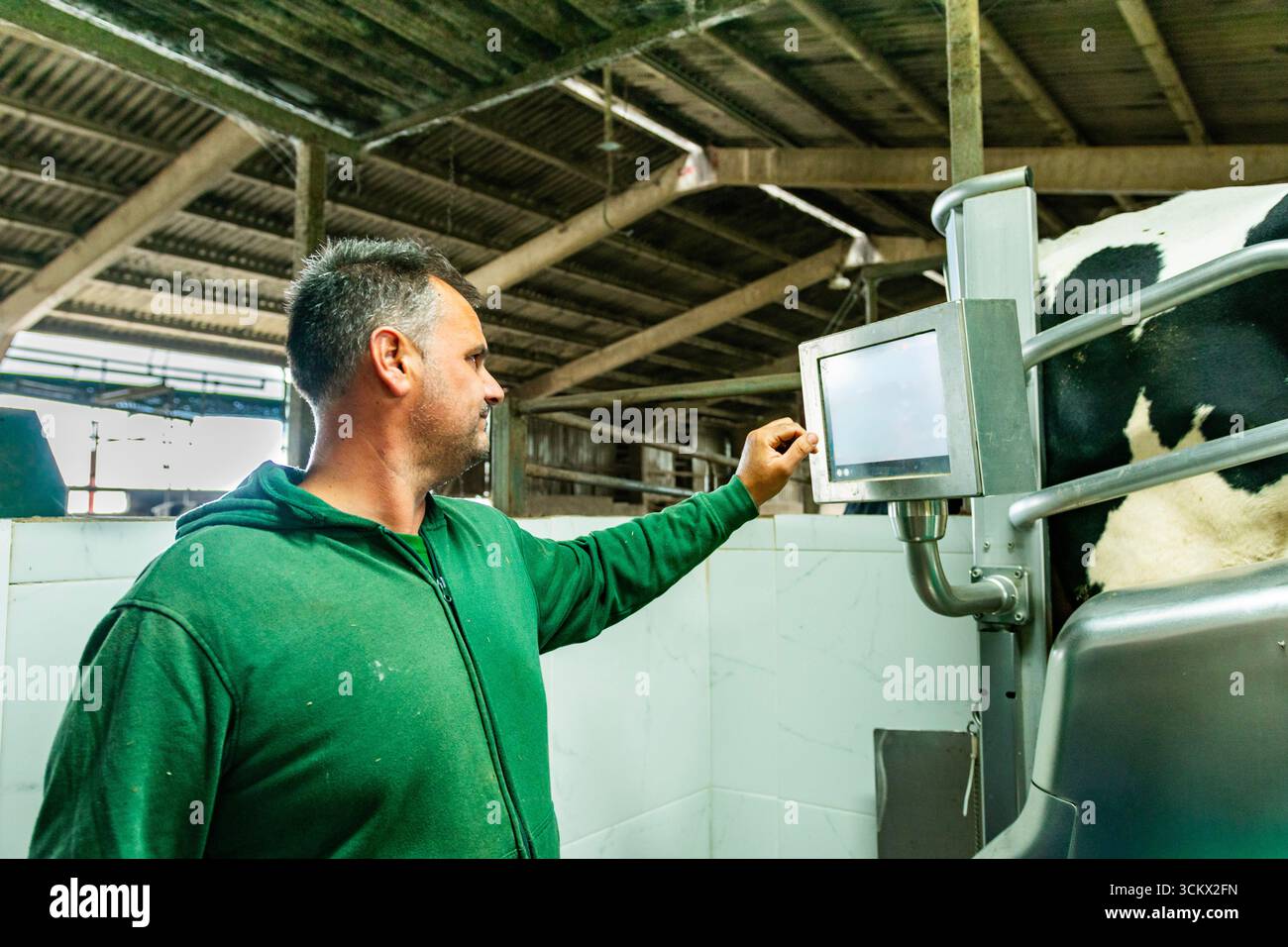 Smart agriculture cow screen hi-res stock photography and images - Alamy
