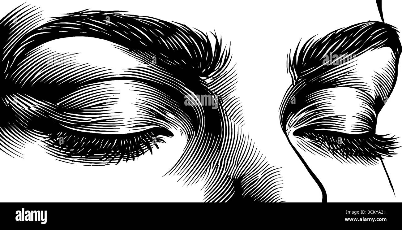 Forehead detail Stock Vector Images - Alamy