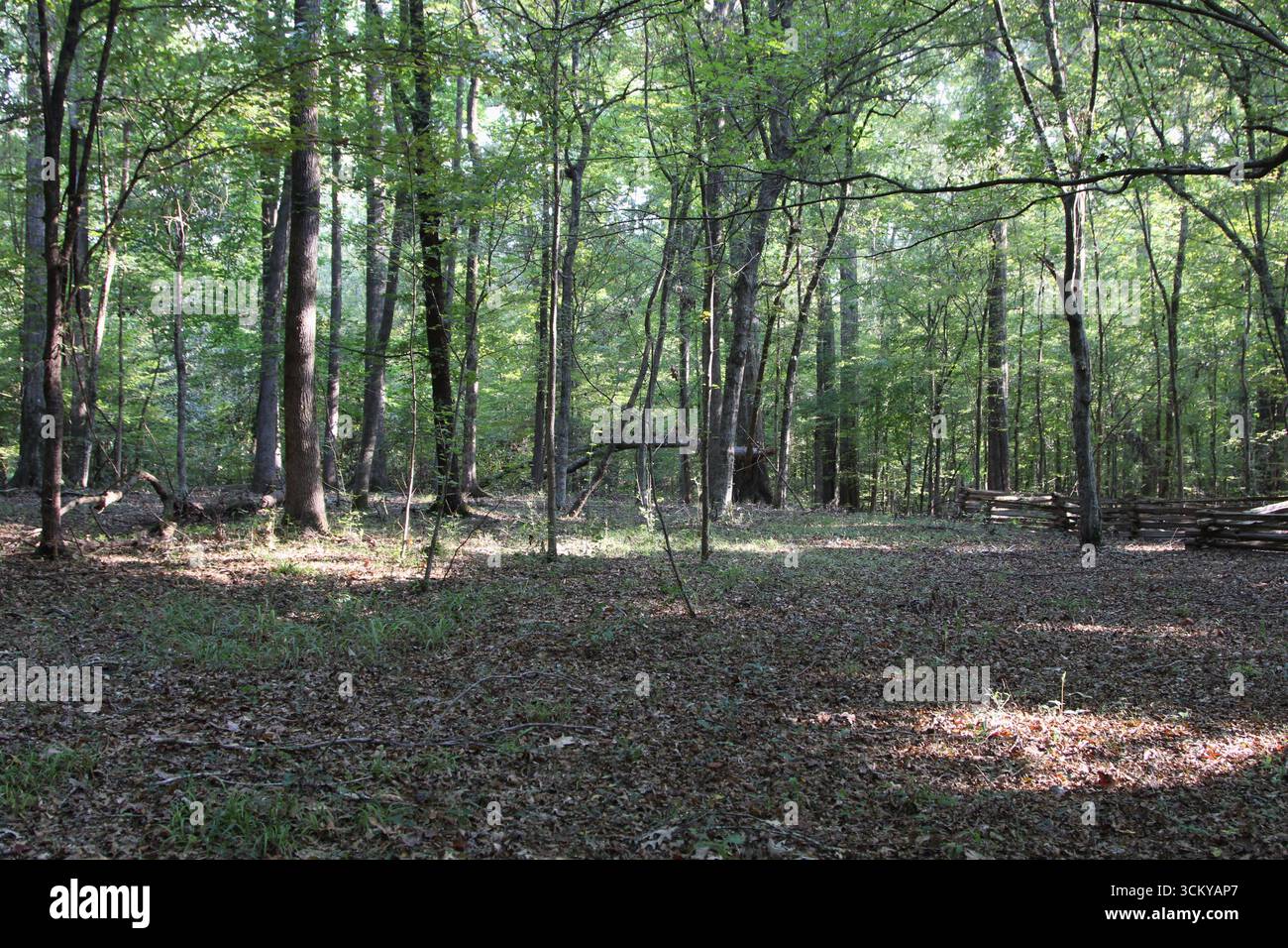 The slave cemetery on the Mount Locust Historic House grounds along the ...