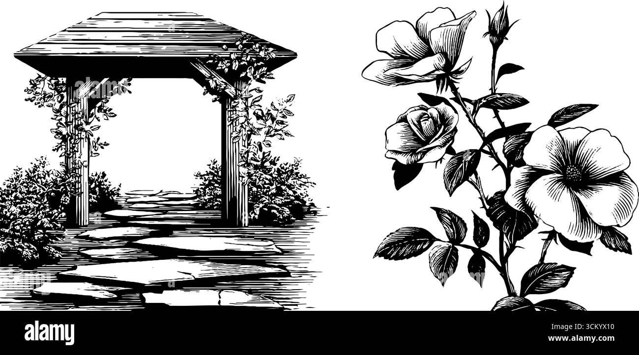 Vintage gazebo pavilion and climbing rose vine engraving for design and ...