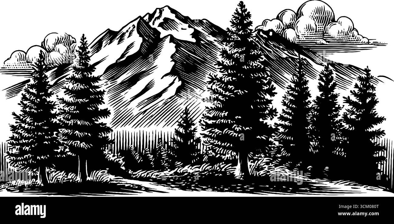 Rustic mountain landscape with pine trees in black and white for design ...