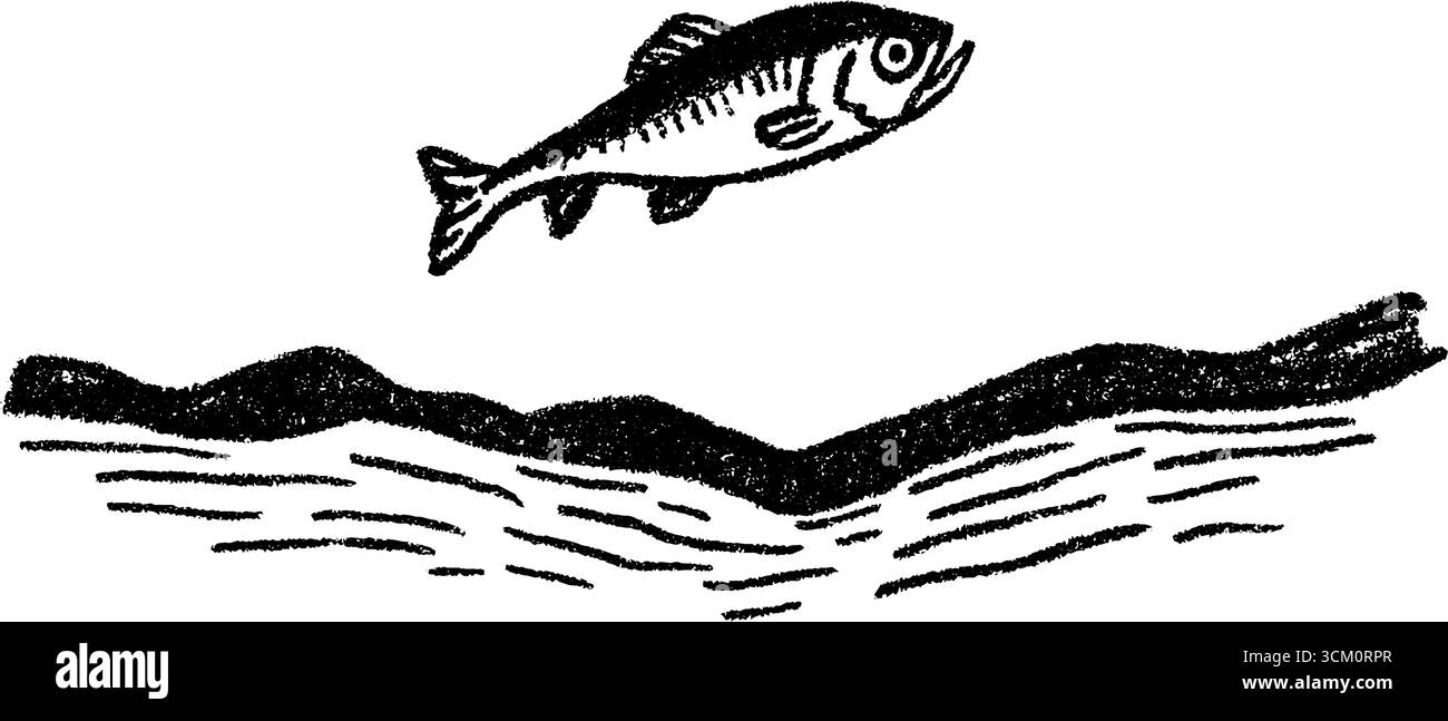 Dynamic fish leaping over water surface - black and white sketch for ...