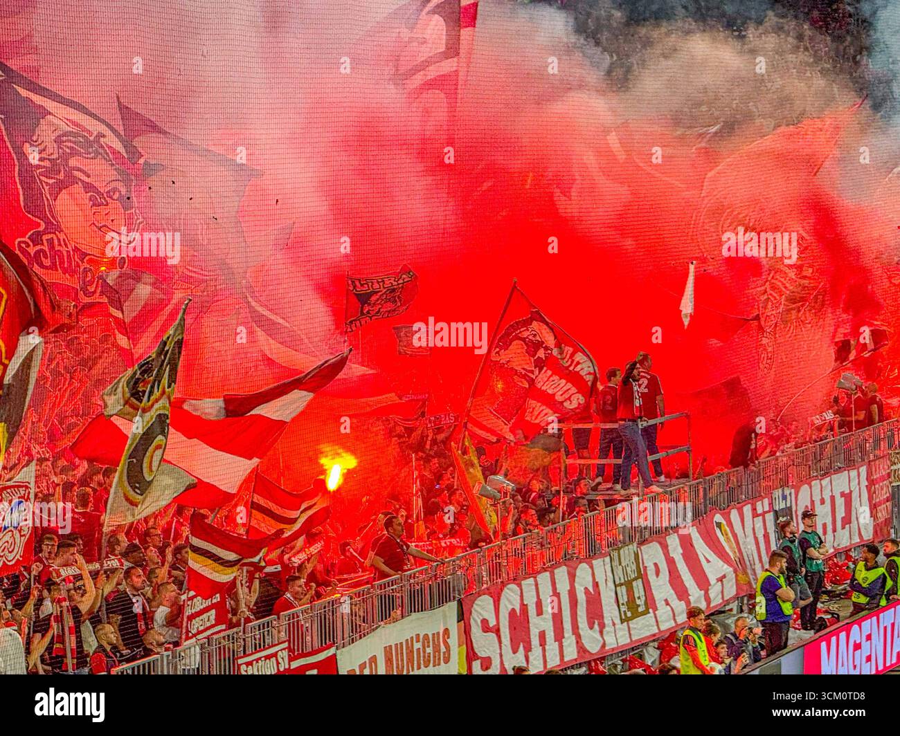 Schikeria hi-res stock photography and images - Alamy