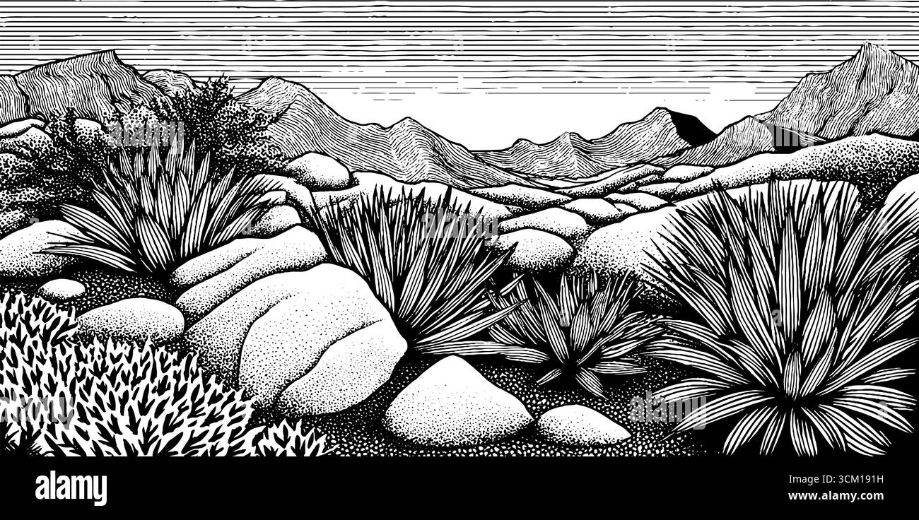 Vintage desert landscape with sunlit boulders and scrub in black and ...