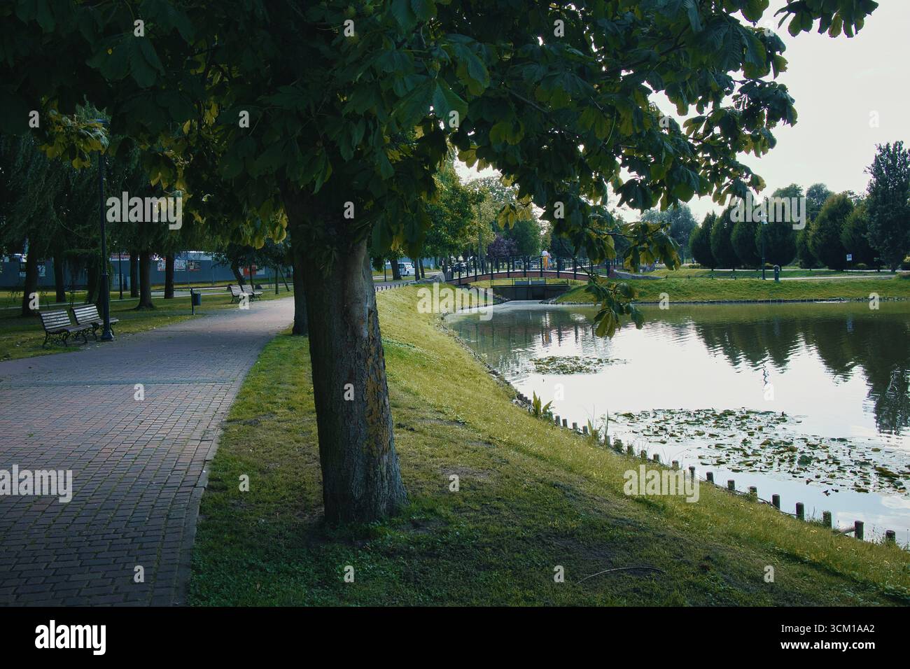 Walking path around a lake hi-res stock photography and images - Alamy
