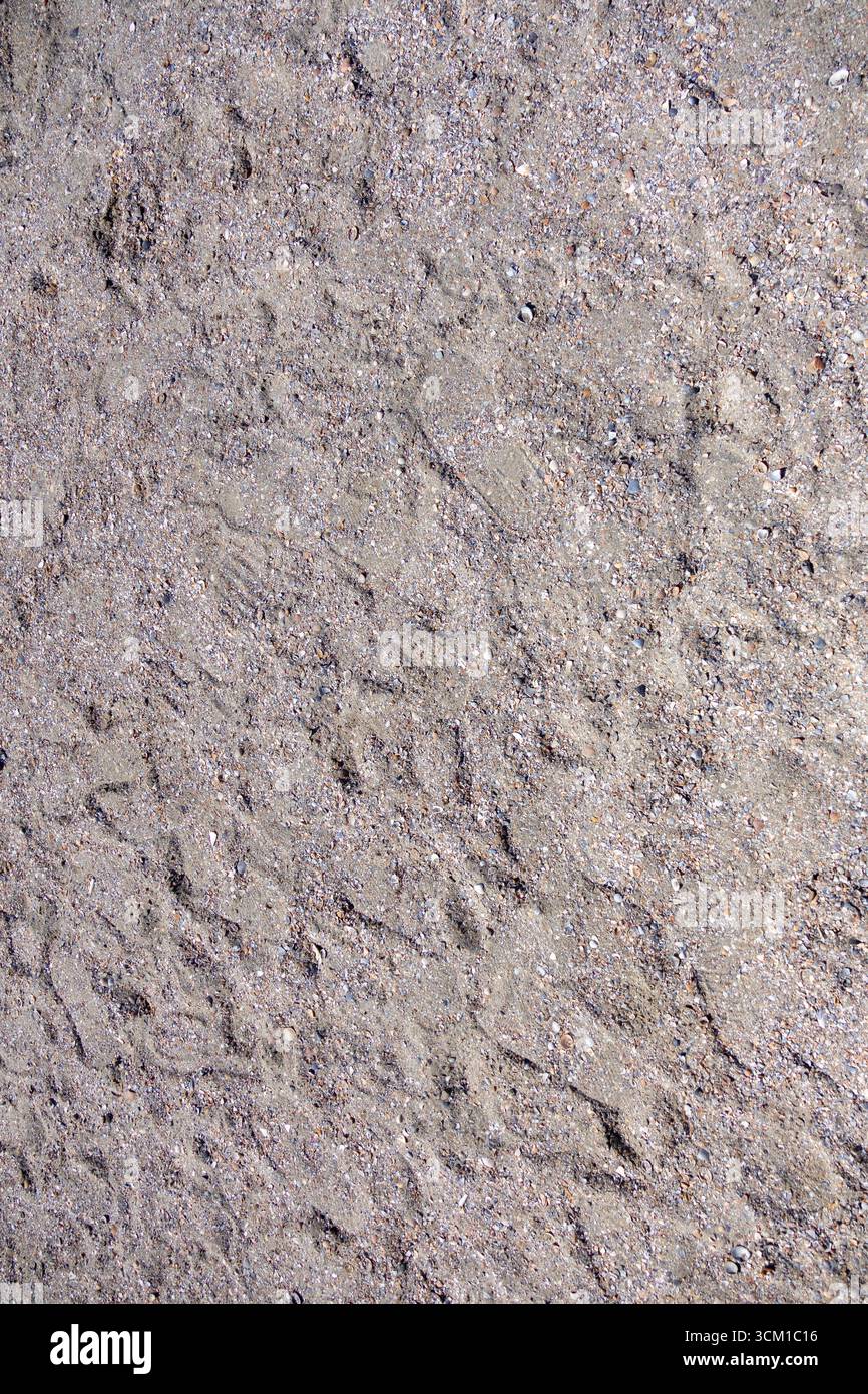 Close-up of rough sand texture with natural patterns and small grains on the beach Stock Photo