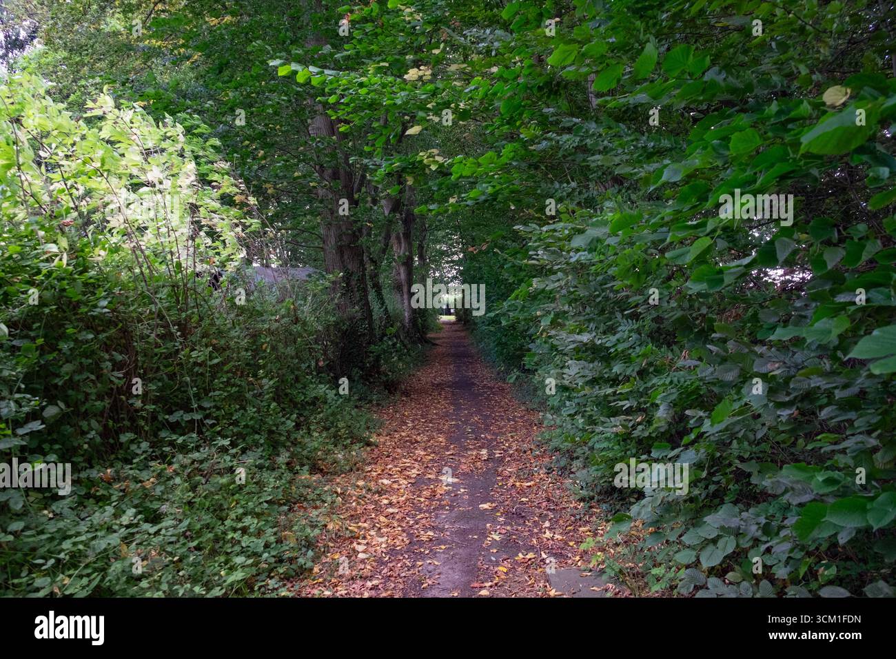 Aachen Grner Weg