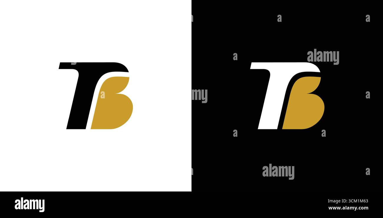 Unique and modern TB logo design Stock Vector