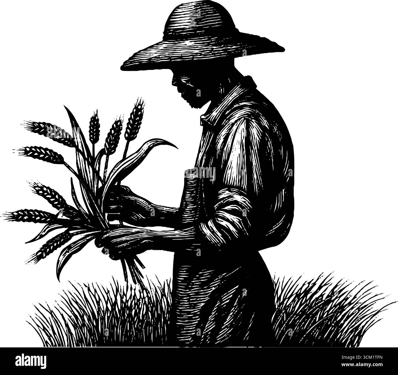 Vintage engraving of farmer inspecting wheat crops in a field - perfect ...