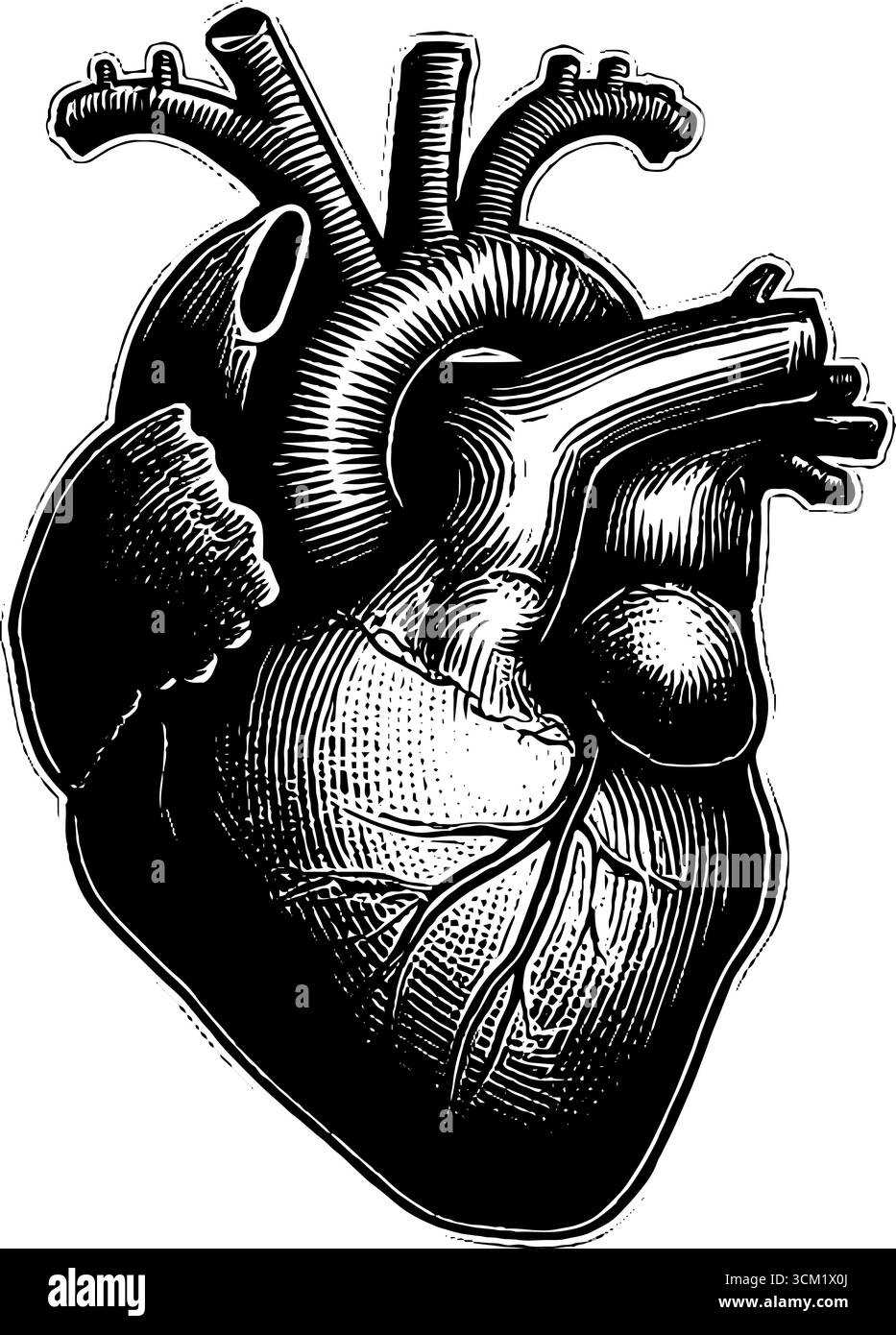 Vintage engraved illustration of anatomical heart shape frame for ...