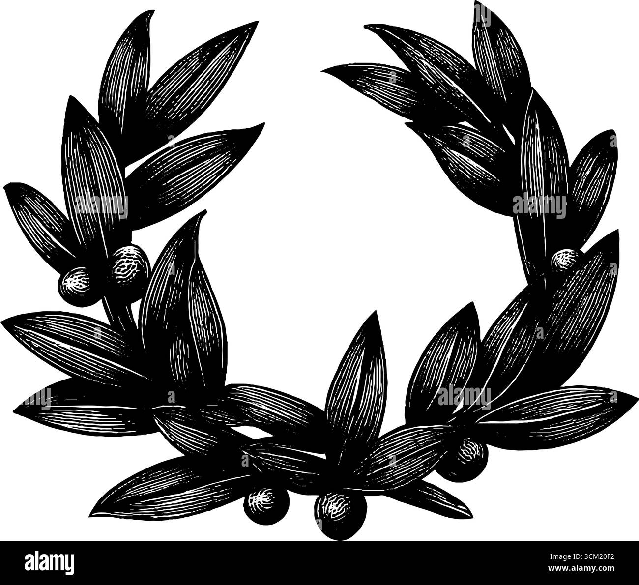 Vintage olive branch wreath engraving for retro design and decor ...
