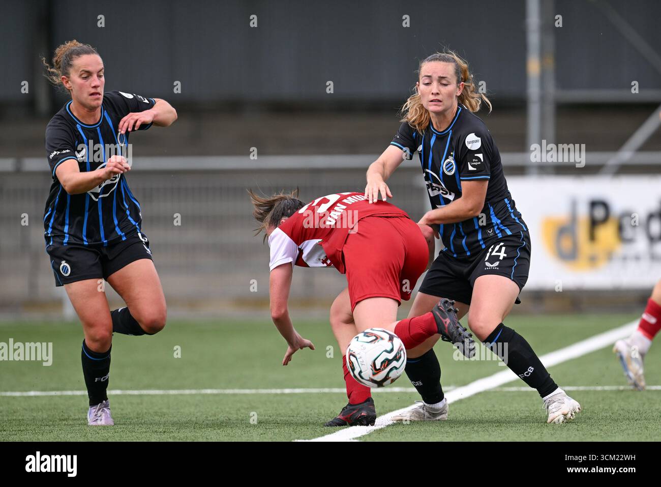 Champions League: Schalke leave it late to beat Sporting Lisbon 4-3 |  Football News | Sky Sports, image size:1300x957
