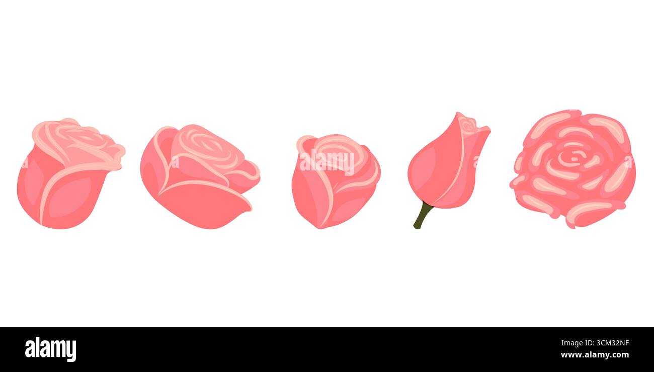 Set of light pink roses for your design. Vector illustration isolated ...