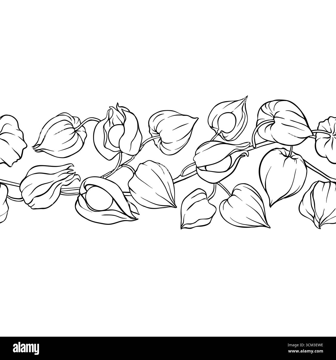 Phisalis Outline Horizontal Seamless Pattern. Stock Vector