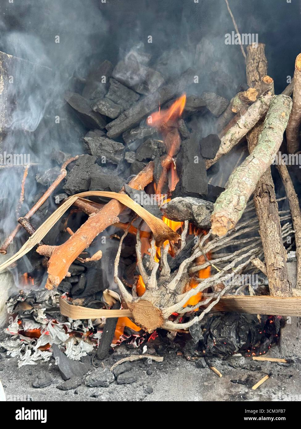 Firewood and charcoal burning in an outdoor fire - Smartphone Captured Stock Image