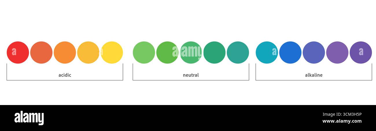 Ph scale acid value indicator. Neutral balance test, spectrum. Alkaline, neutral and alkali graph. Basic info. Vector illustration Stock Vector