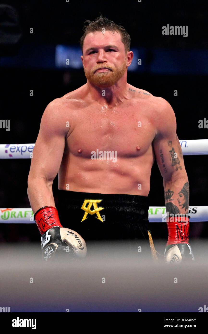 Canelo Alvarez, looks on during his undisputed super middleweight