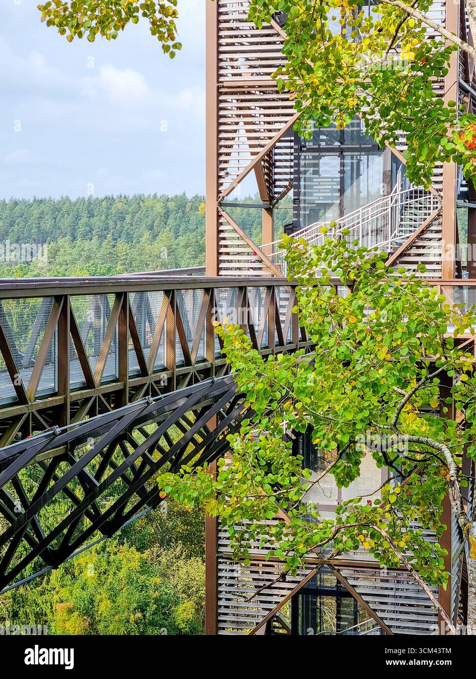 anyksciai-treetop-walking-path-tower-with-autumn-trees-in-lithuania