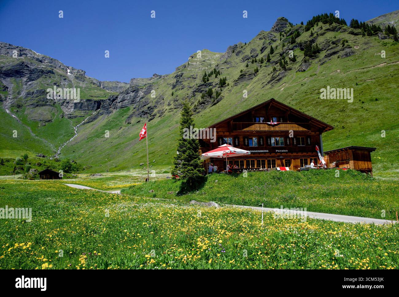 Hiking trail through the Blumental valley near Mürren, meadows with wildflowers, alpine huts and a mountain hotel, Mürren, Lauterbrunnen, Bernese Ober Stock Photo