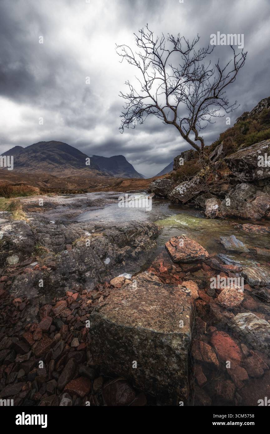 A small stream with a small tree on its bank in the mountains of the Scottish Highlands, Glencoe. Dark cloudy sky. Stock Photo