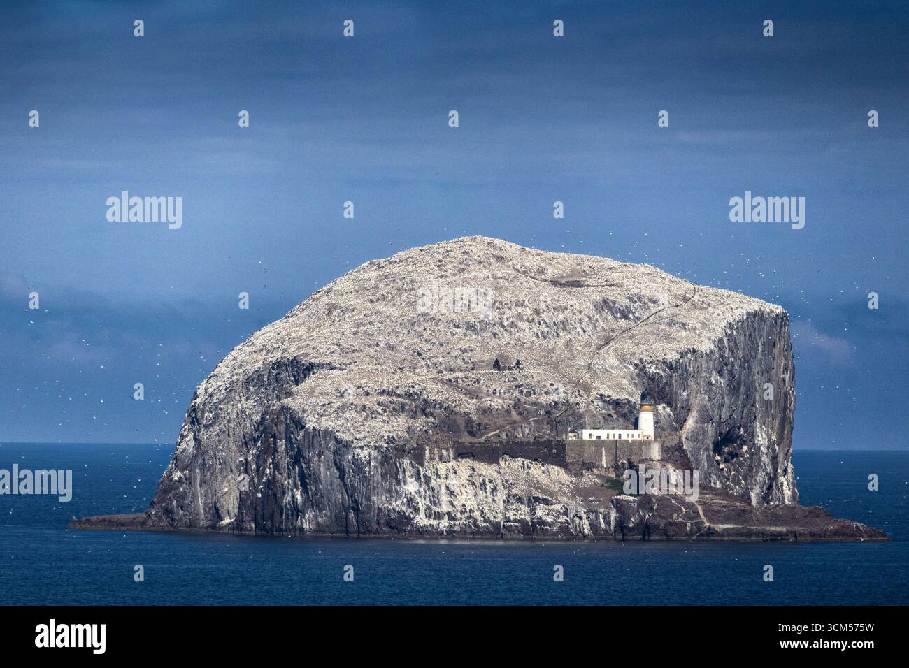 View of the rocky island with lighthouse and gannet colony Bass Rock. Stock Photo