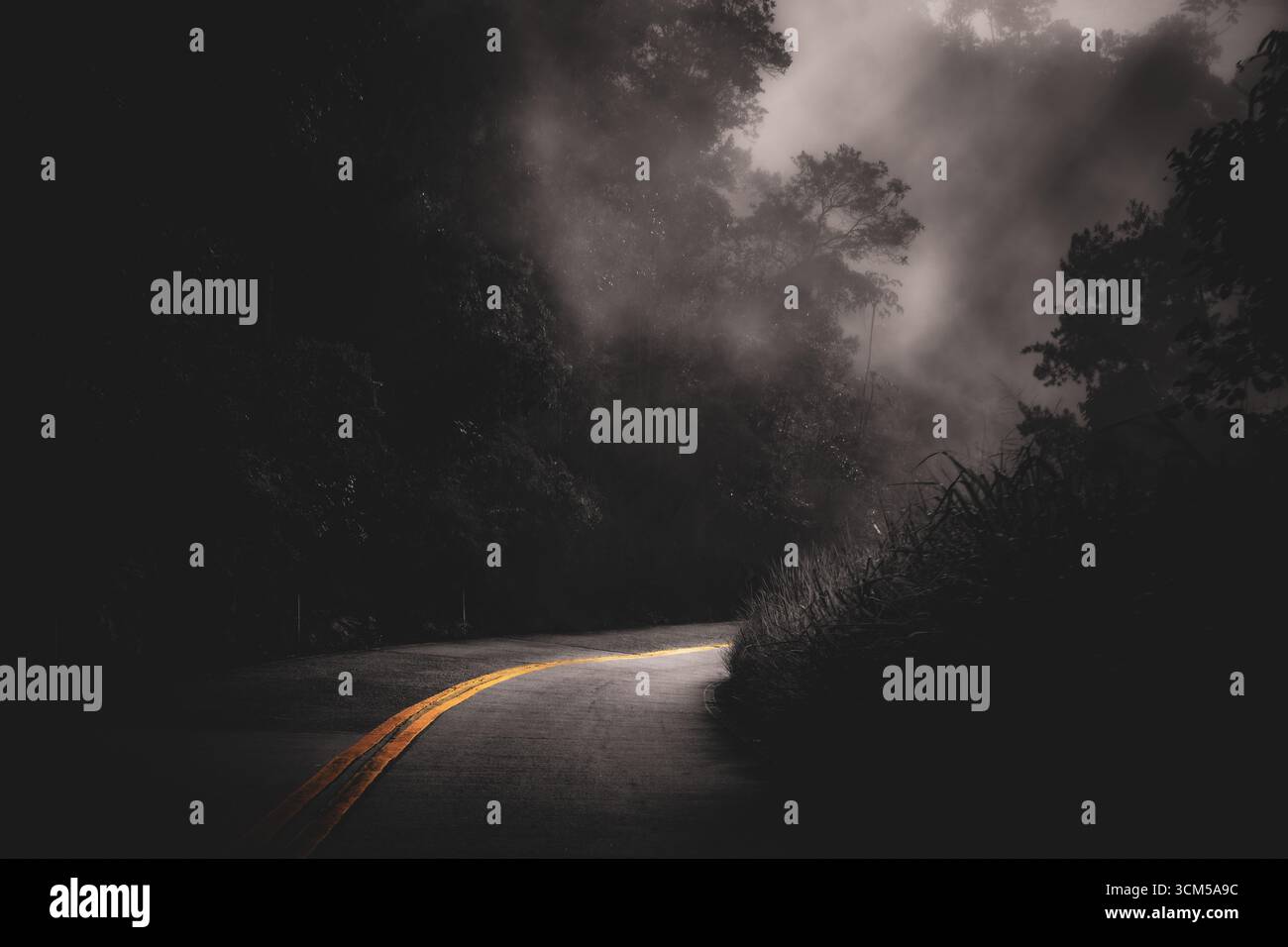 Curved Road Through Misty Forest with Yellow Lane Markings Stock Photo ...
