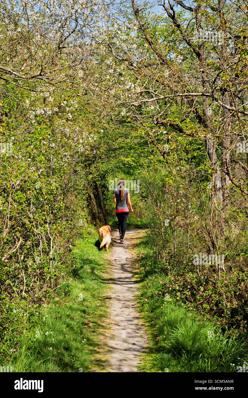 On the dream trail Pyrmonter Felsensteig, Münstermaifeld, Rhineland-Palatinate, Germany Stock Photo